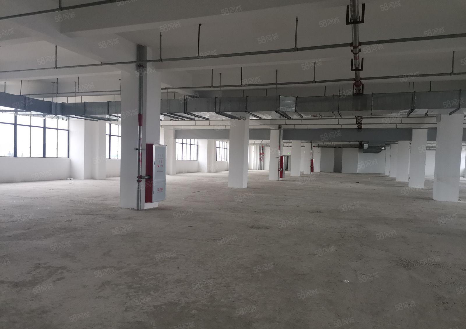 13元起租！水口东江工业区1250平方米起租，整租或分租！