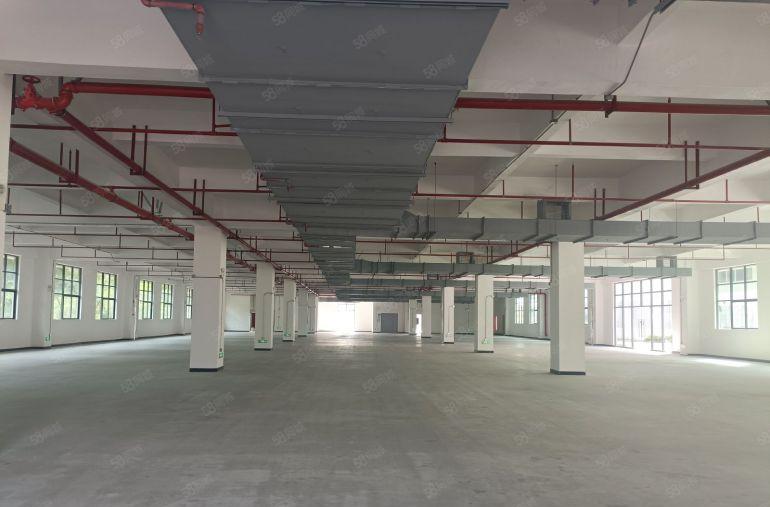 水口N处一楼720方2350方3000方红本厂房招租证件齐