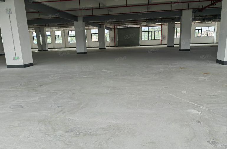 厂房出租惠城区三栋镇独栋标准厂房红本环评可整可分一楼带牛角