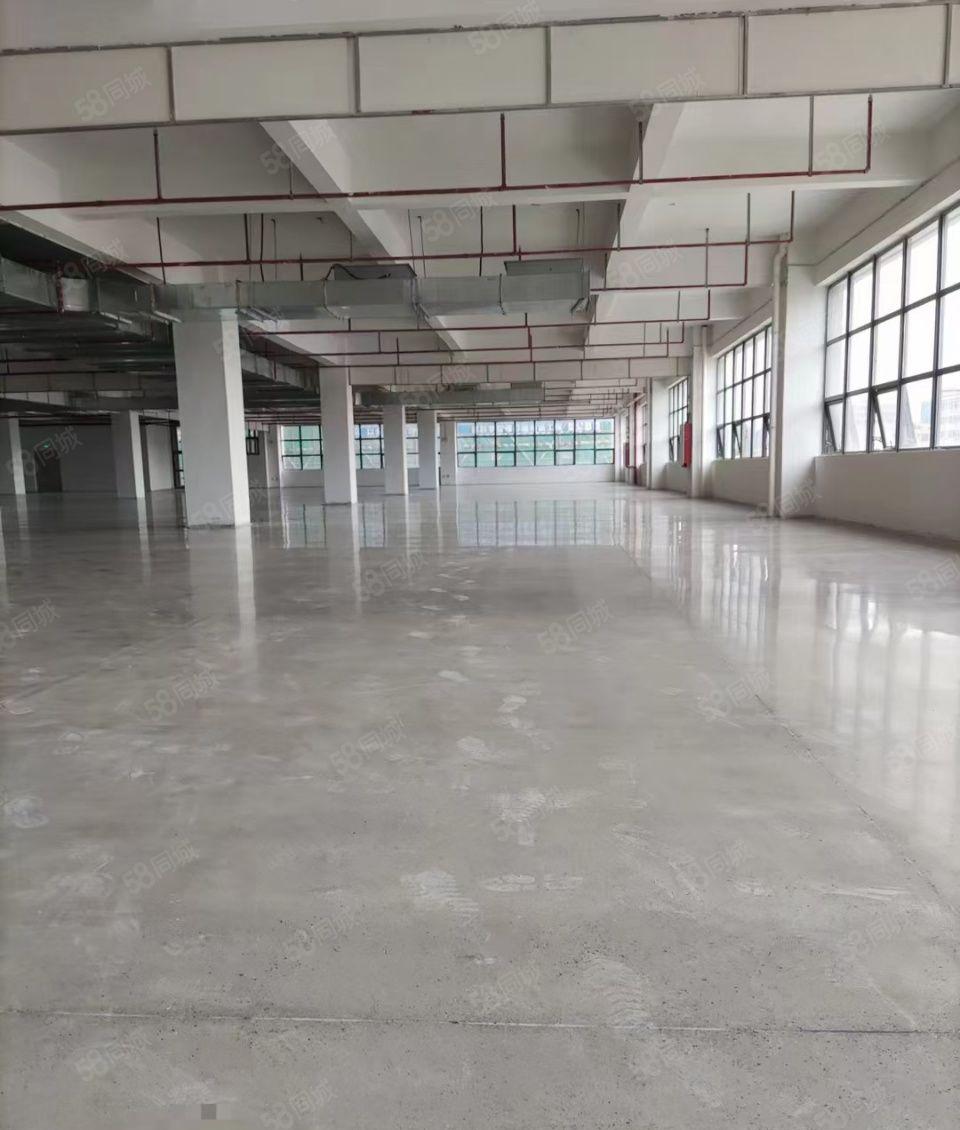 惠州市惠城区，汝湖原房东厂房空地低价招商，交通便利水电到位。