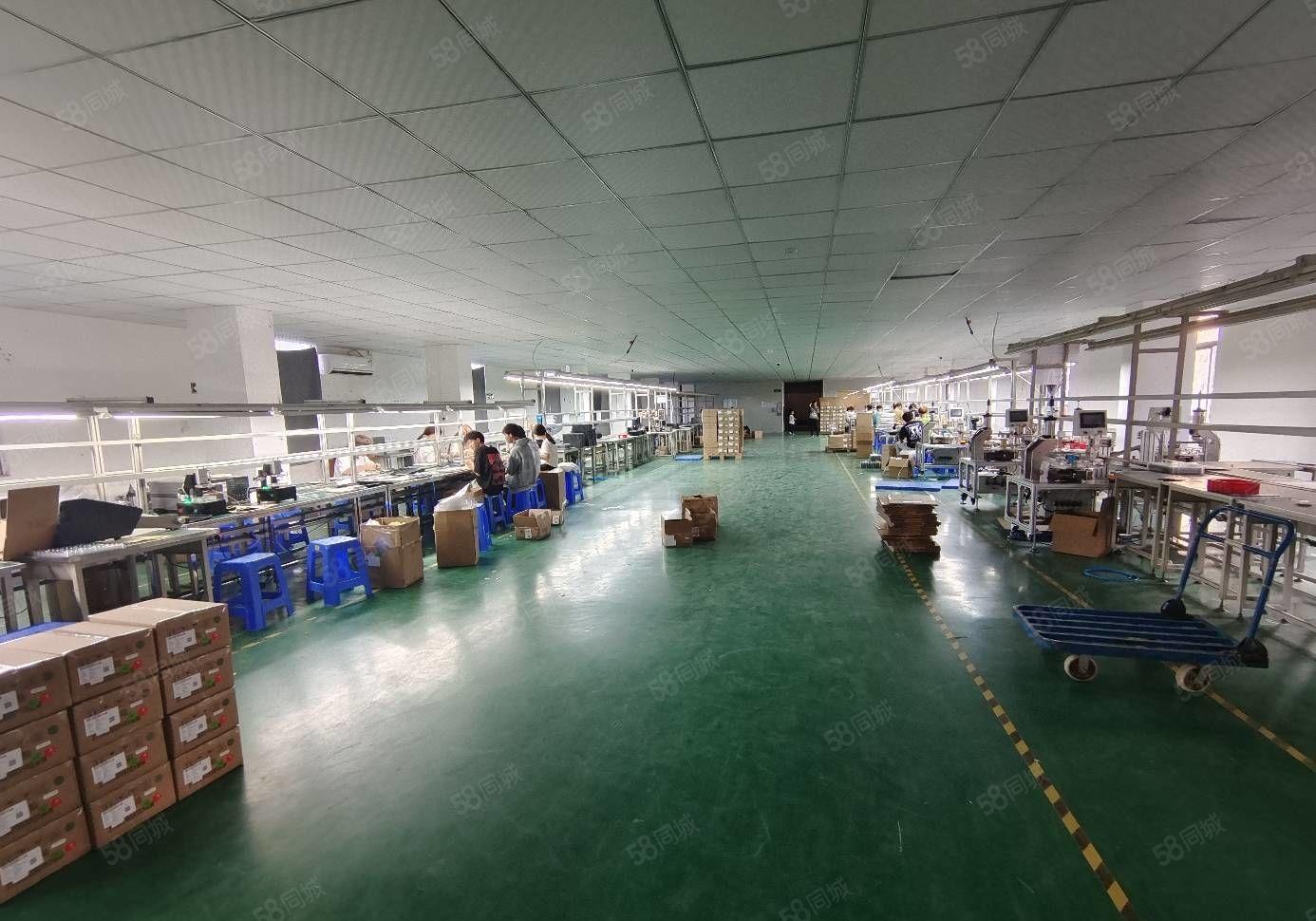 9.9元招租，马安镇政府附近全新厂房1200平方厂房招租