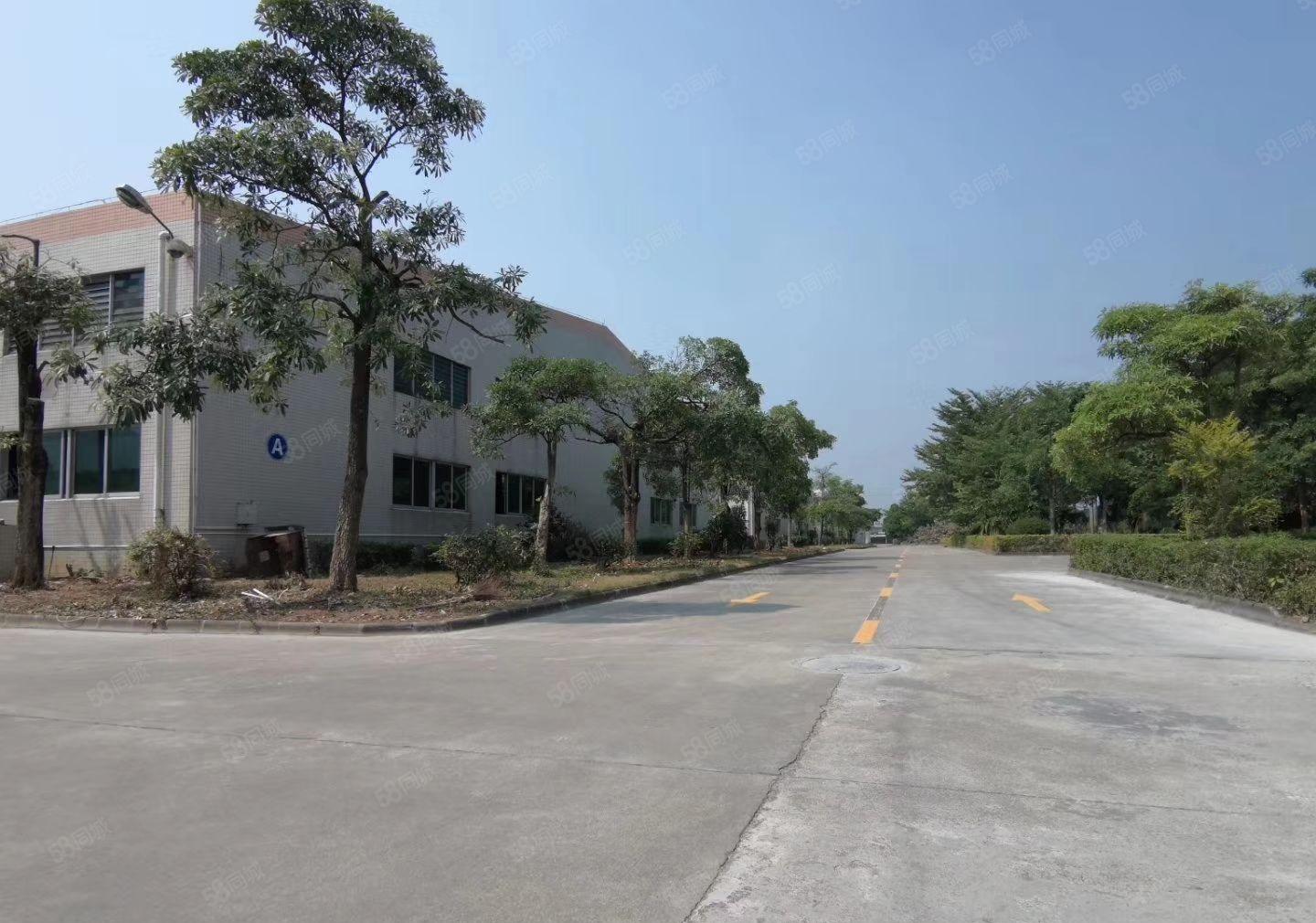 水口滴水8米厂房出租