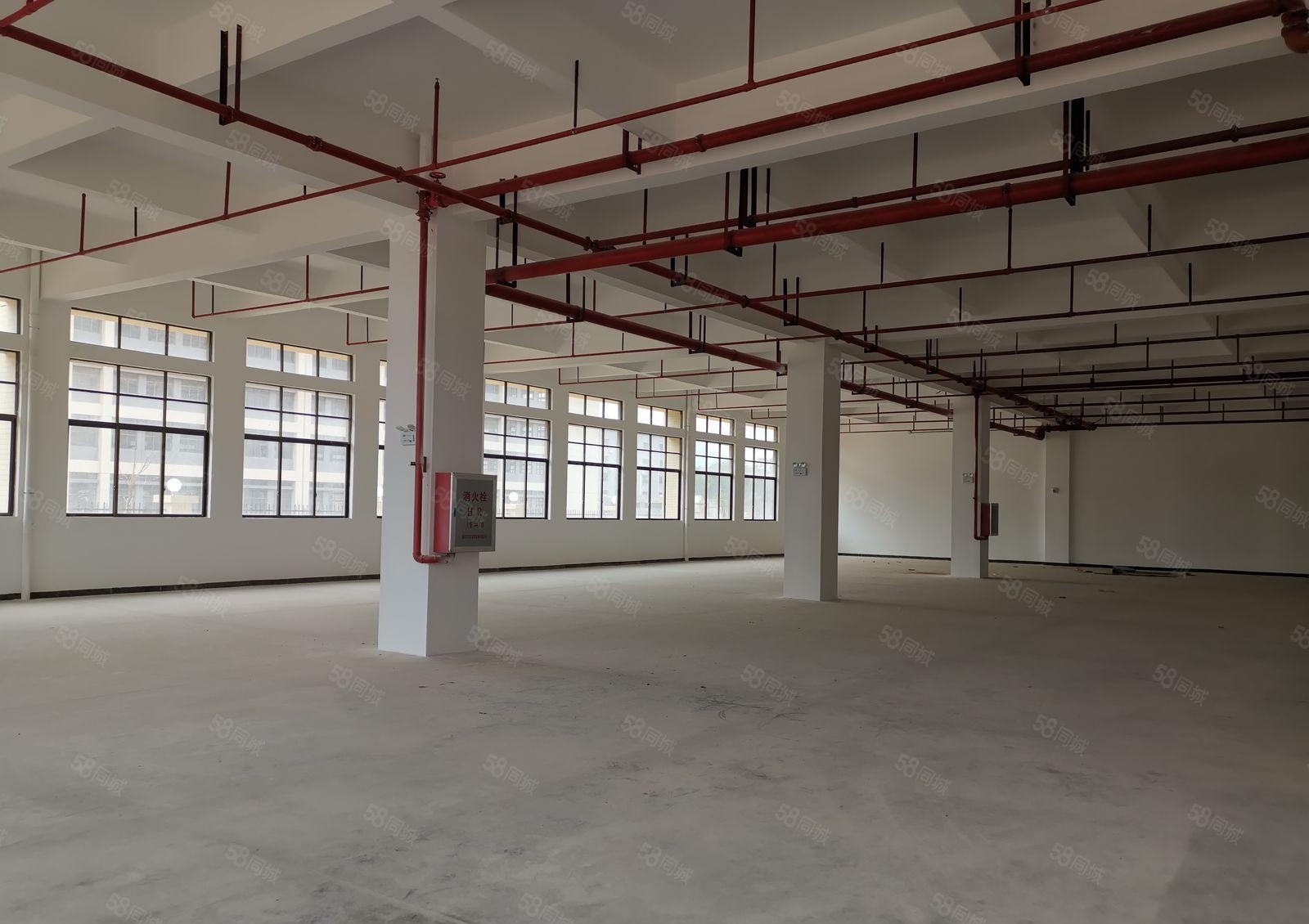 三栋全新原房东红本厂房1550平方9.9元起出租 配套完善