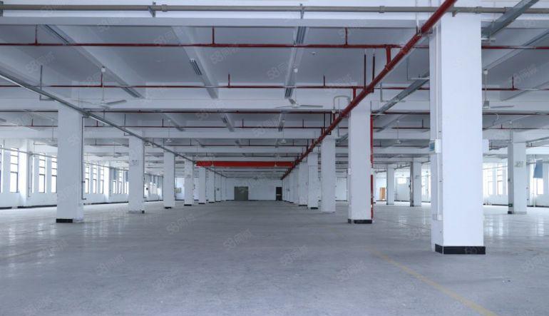 三栋数码园，三四楼无尘车间每层2796平方低价急租