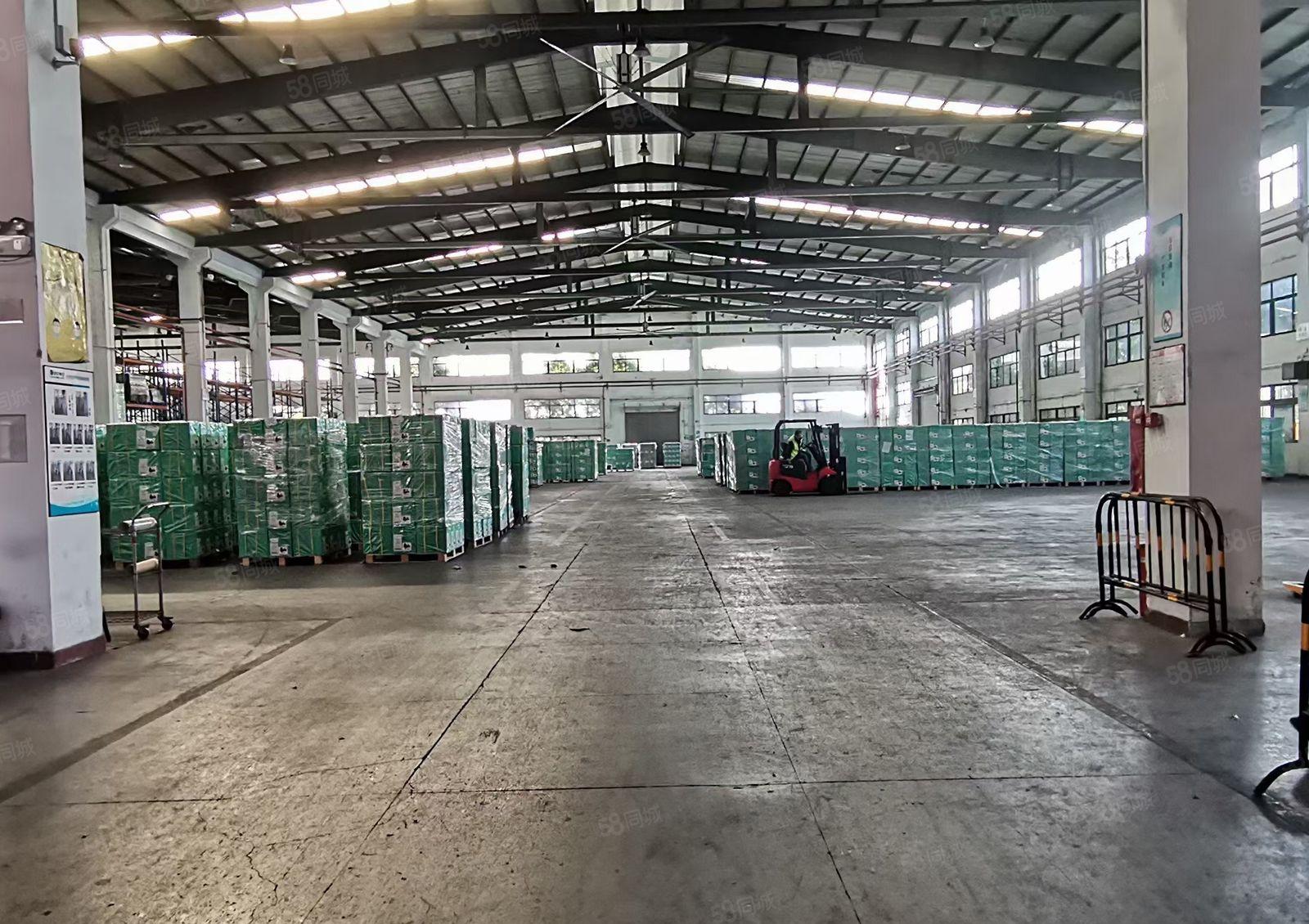 惠城区江北中心区单一层滴水7米钢构厂房分租