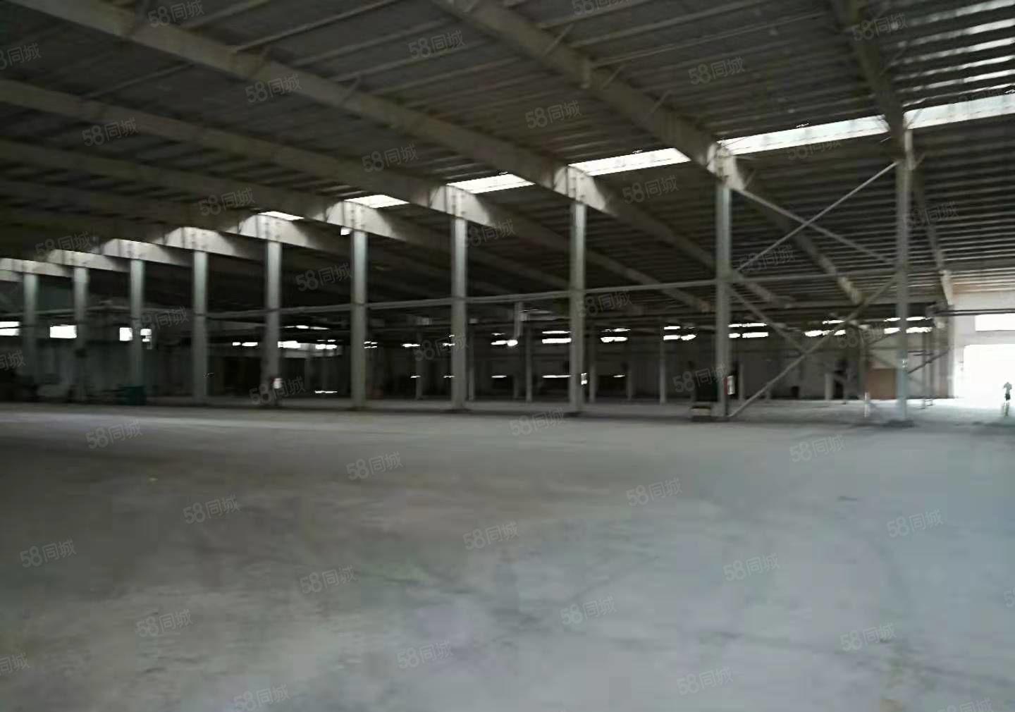 惠城区超高11米滴水标准钢构厂房招租