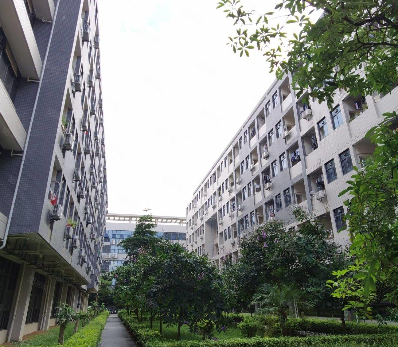 水口原房东直租大型上市科技园1000到25000平米招租