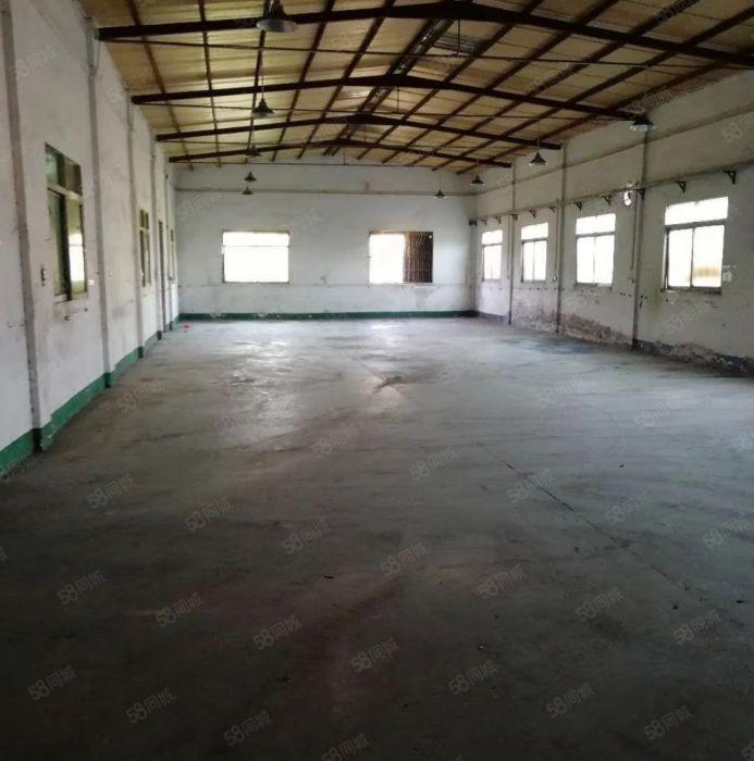 惠城区四角楼高速路口附近经典独院钢构厂房1900平方9元出租