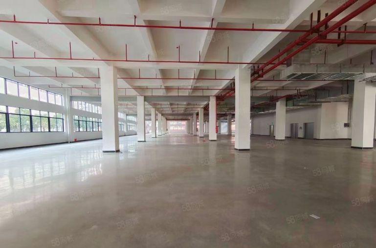 水口湖滨建恒鑫工业园厂房出租