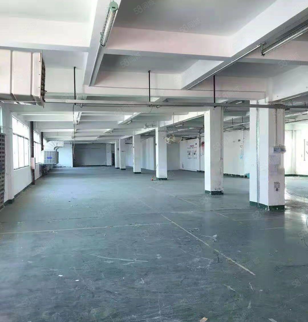 惠城水口中心工业区红本厂房1500平方出租