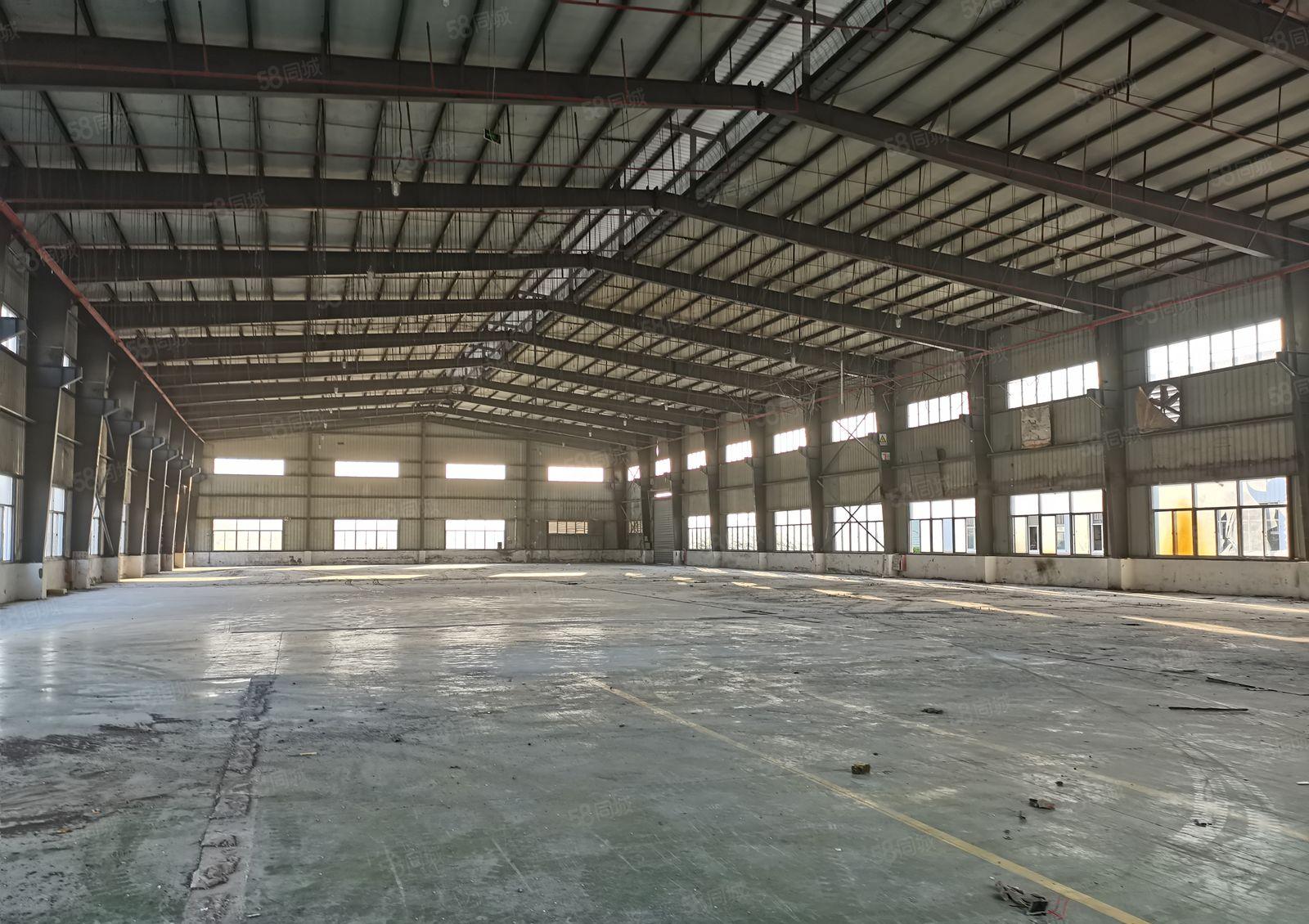 滴水10米高惠城三栋原房东独院钢构厂房22000平出租可分租