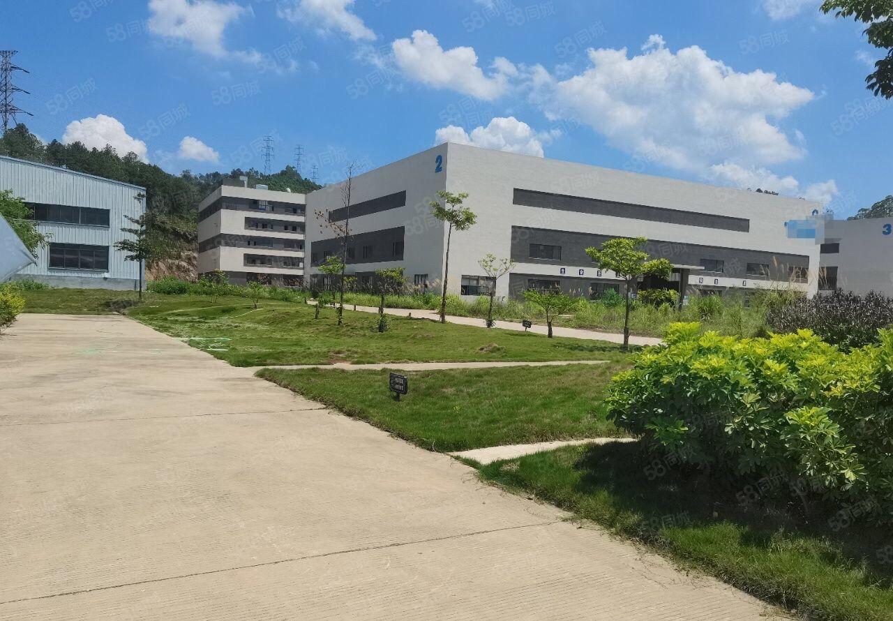 惠州新出标准厂房，原房东红本在手