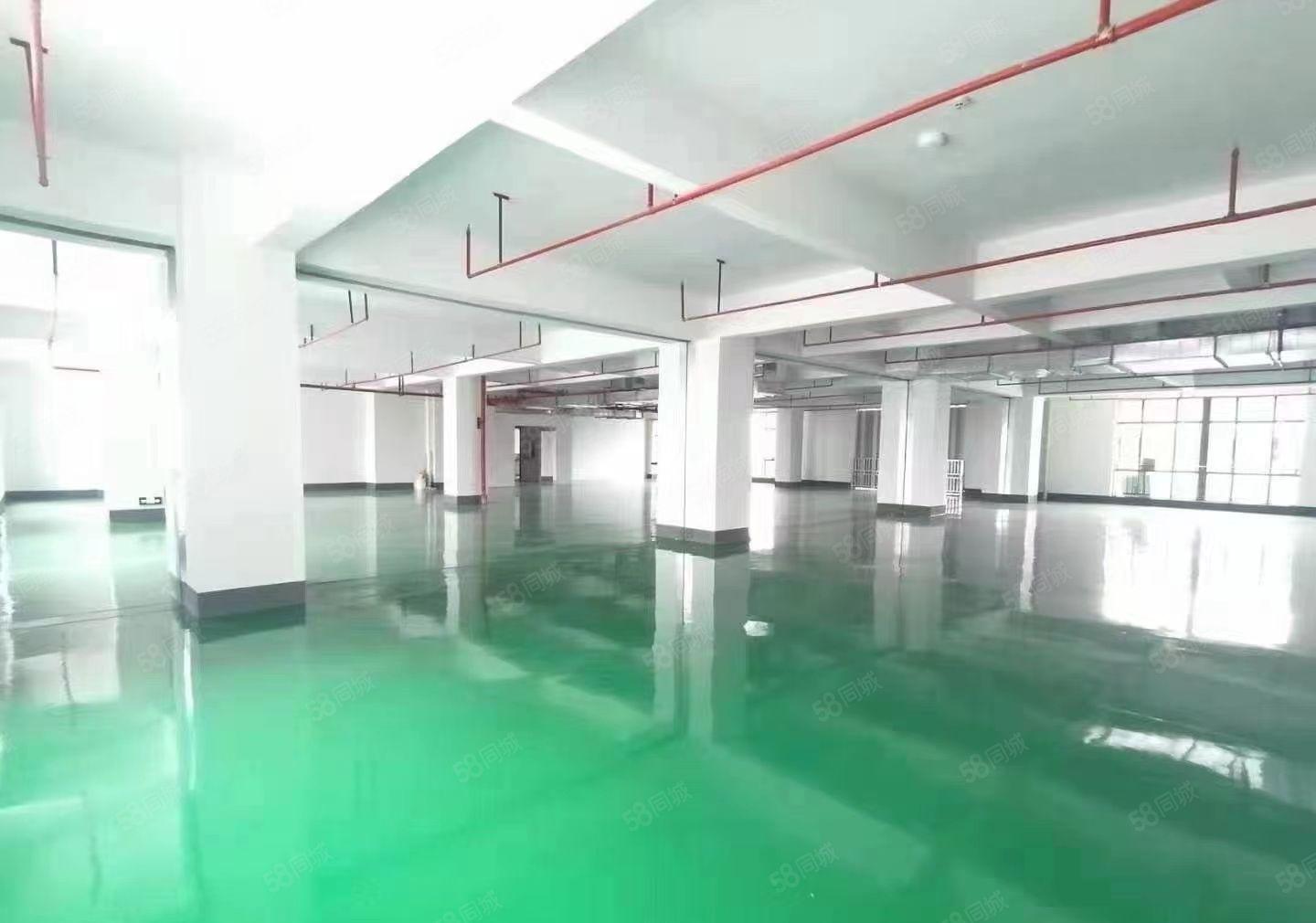 马安工业区7楼全新厂房出租面积780平方米现成装修3吨货梯