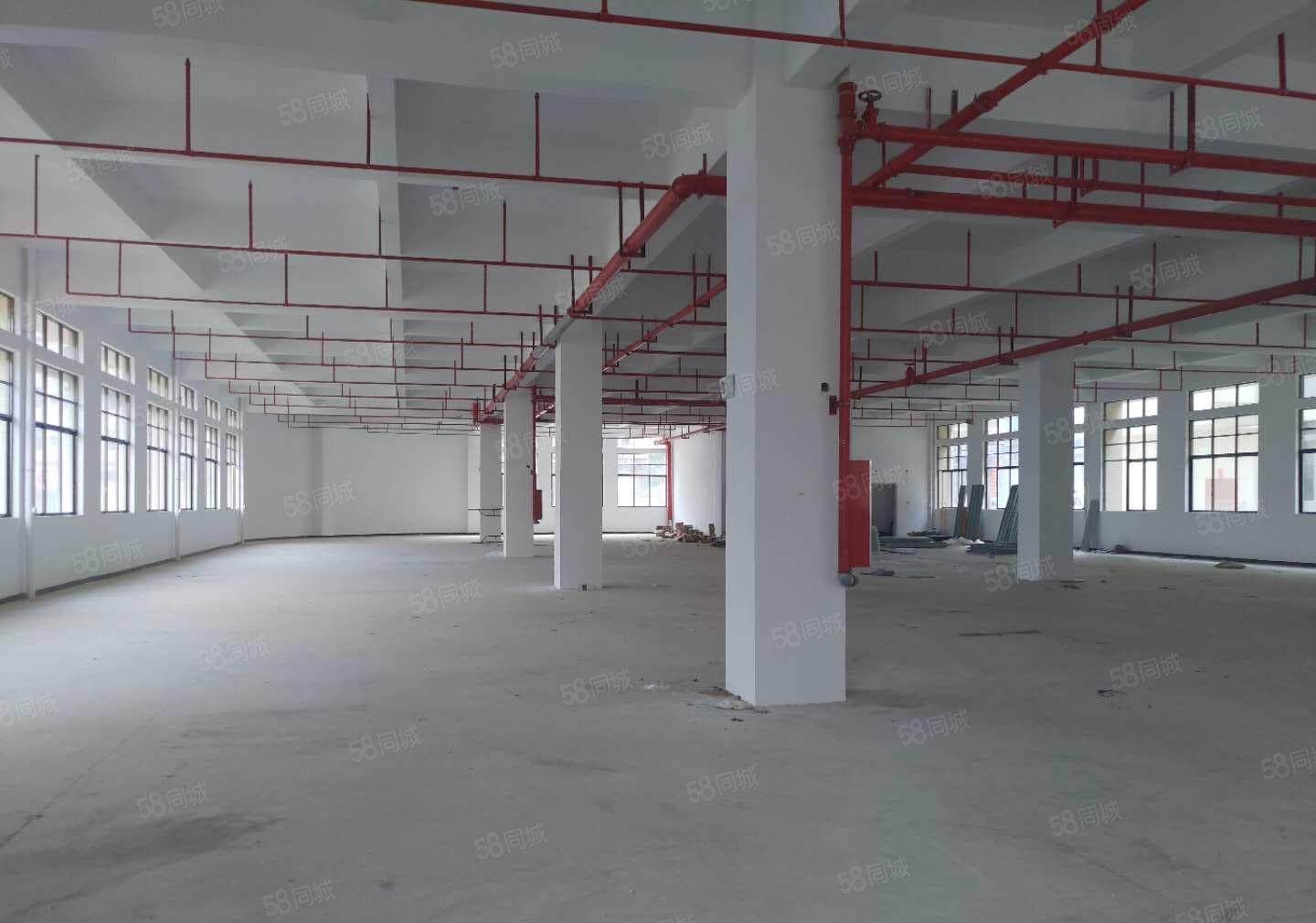 9.9元特价栋全新红本标准厂房5楼1500平方出租，两部电梯