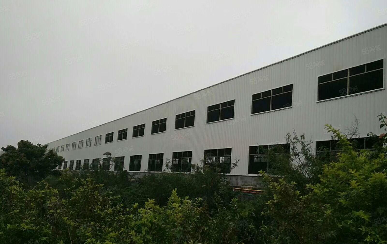 惠城区小金口独院钢构厂房18000平方招租，可分租