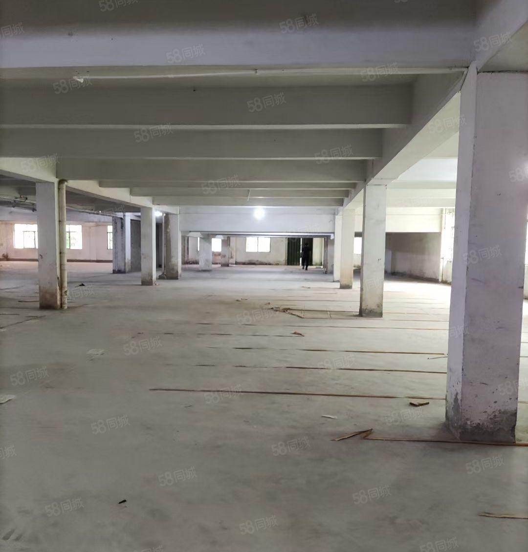 惠城区小金口独门独院一楼1000平方厂房