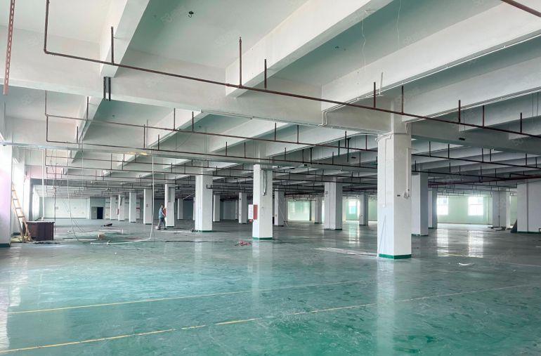 单层4000平！卸货平台！惠城三栋原房东独栋标准厂房出租