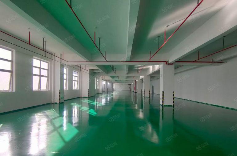 中心位置高速口原房东厂房带现成装修500平起可独栋可分租