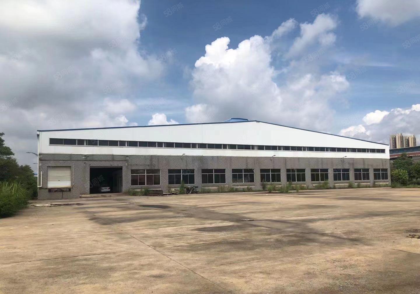 惠城区马安镇滴水11米国有证钢构厂房招租