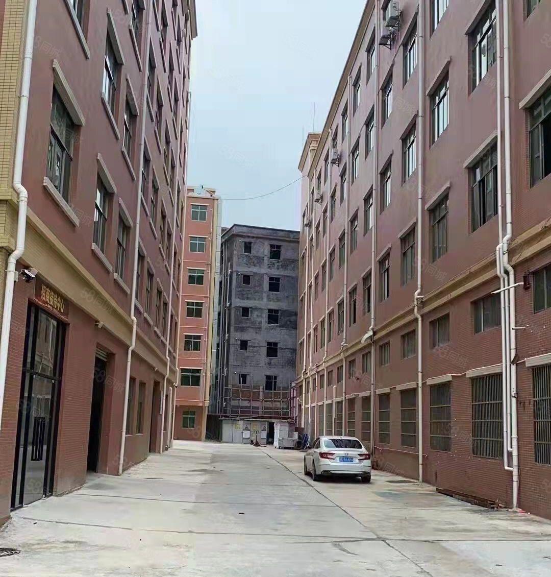 水口镇花园区式厂房形象高大上