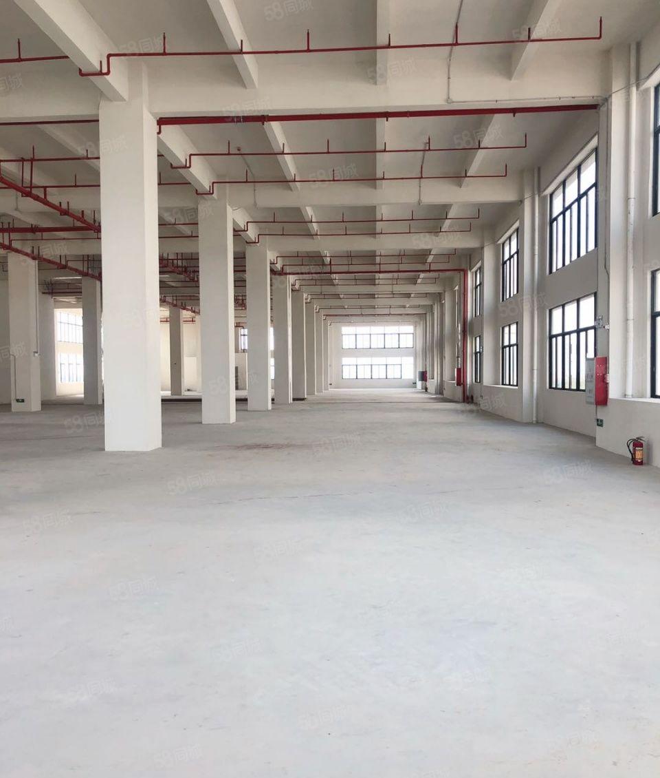 钜惠！惠城河南岸新出500~20000平标准厂房出租，临高速