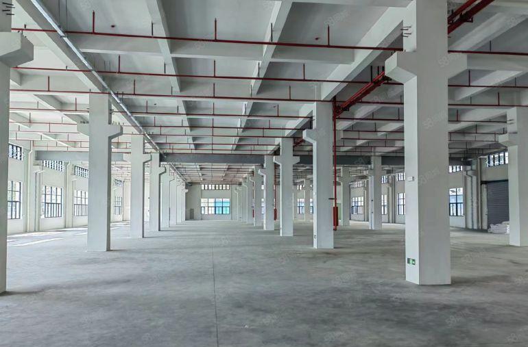 三栋数码园南区原房东全新带牛角标准厂房仓库出租