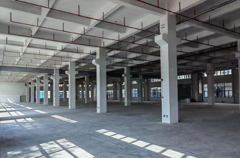 三栋数码园南区原房东全新带牛角标准厂房仓库出租