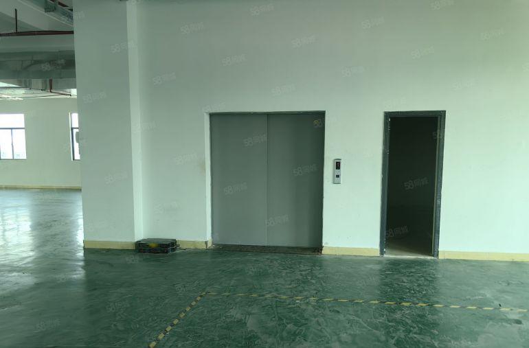 小金口8元厂房出租，独栋4层6000平，货梯5吨2部