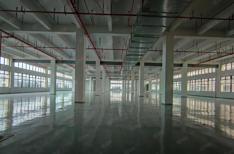 水口东江高新区2000平一楼二楼精装修厂房仓库低价出租，可分