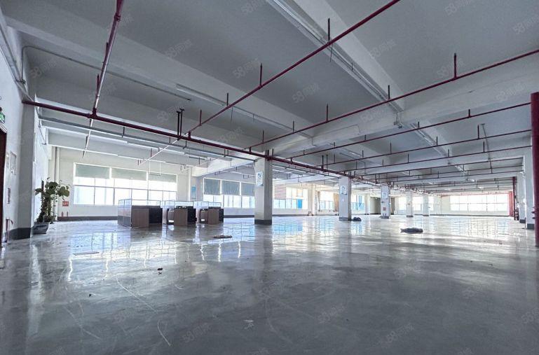 惠城小金口新出原房东工业区楼上500平方米精装修仓库厂房出租