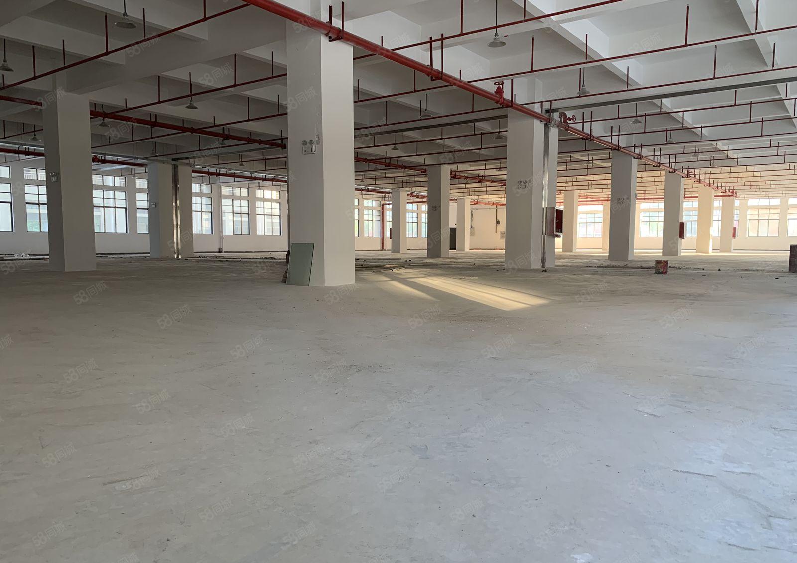 惠城区三栋镇原房东零公摊红本独门独院工业园业主直租