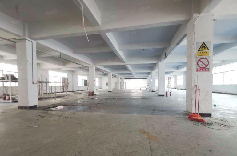 惠城区江北11蚊每平原房东独门独院厂房出租5000平