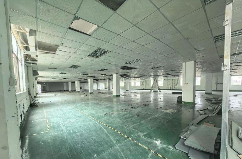 河南岸新空出单层1300平，10元500平起独院租