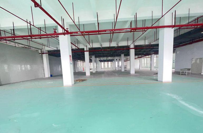 马安一楼厂房出租2000平方12元一平方.大小可以分