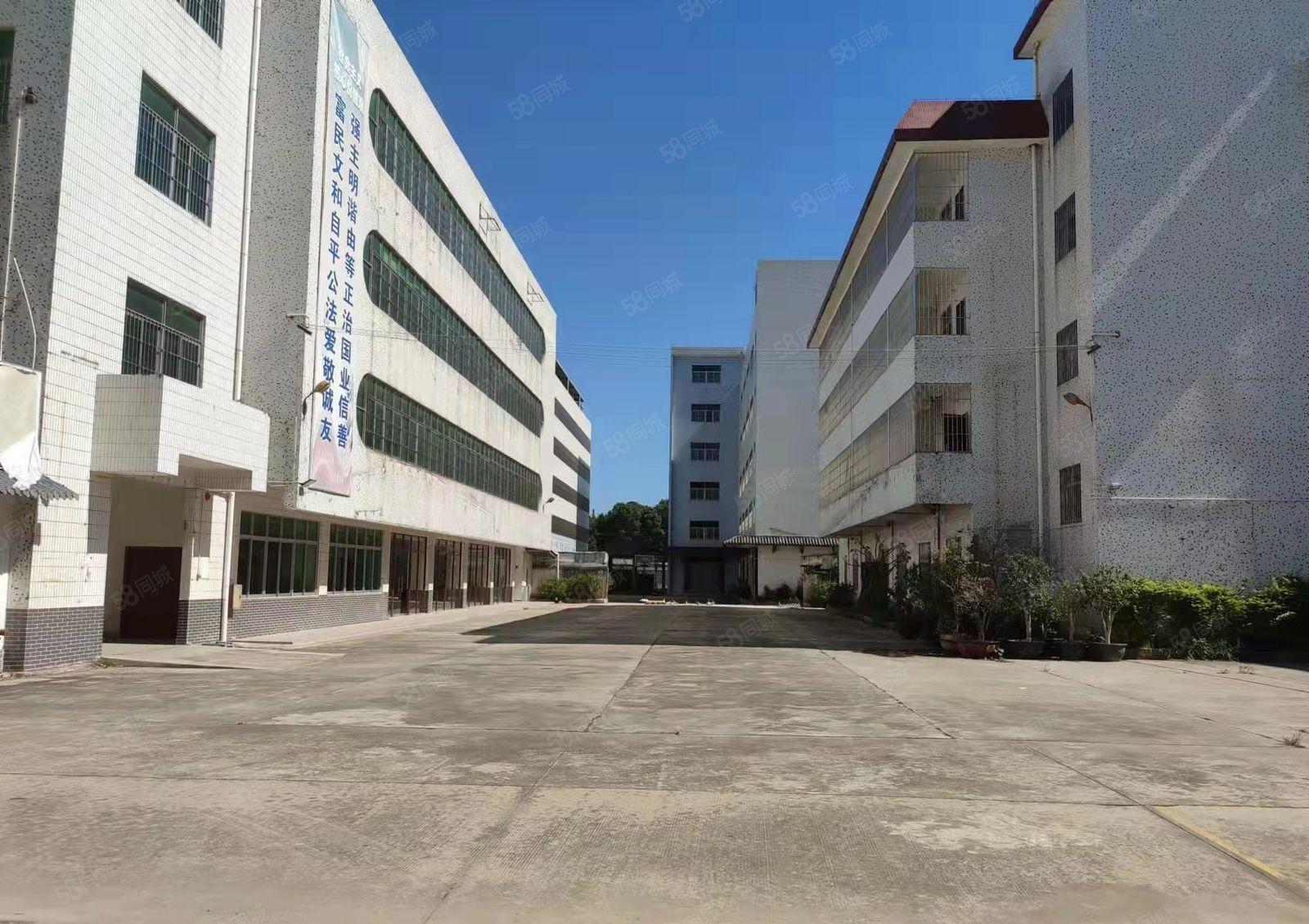 10000平独门独院标准厂房出租