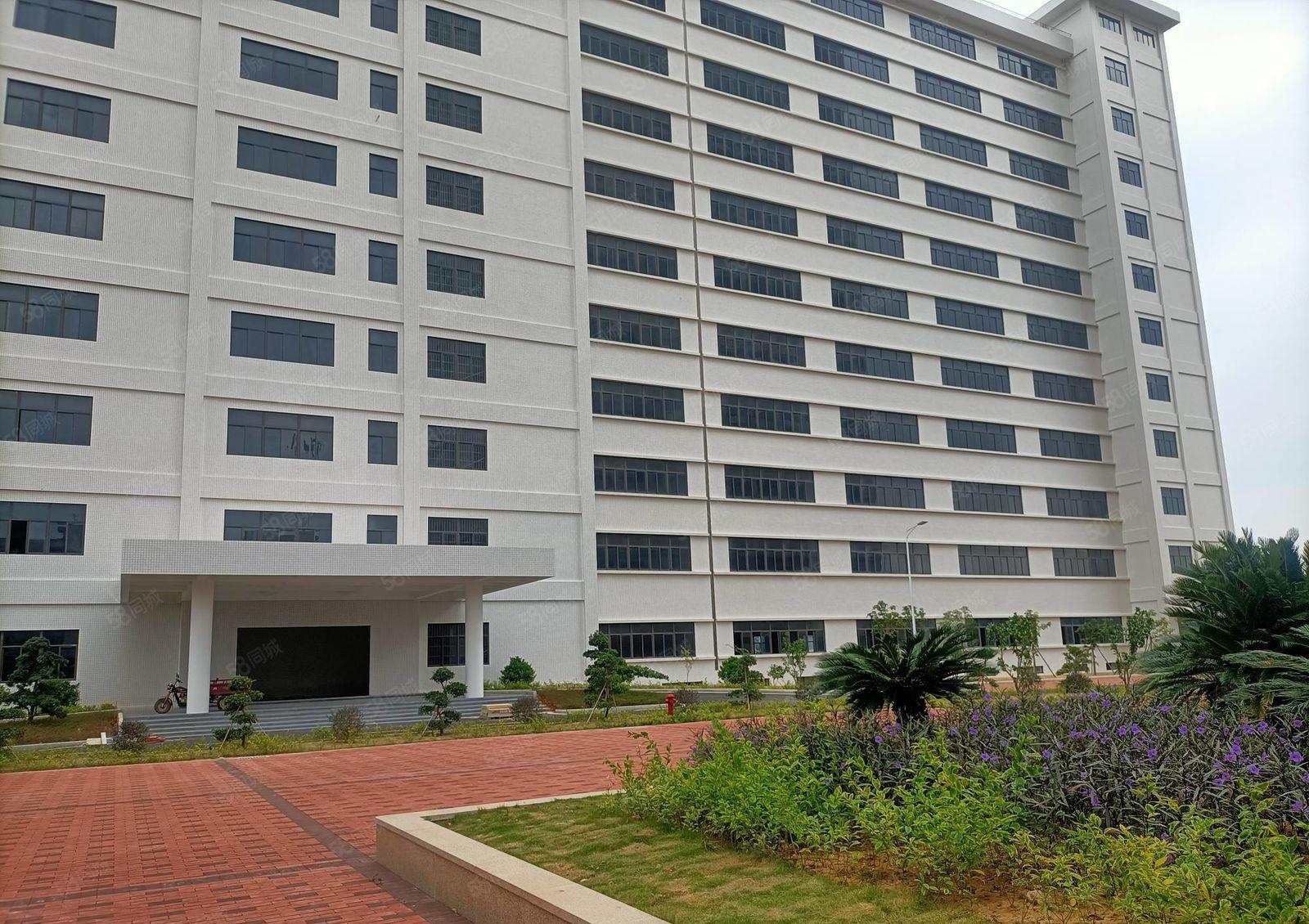 水口东江工业区全新工业厂房1500平方  10元出租