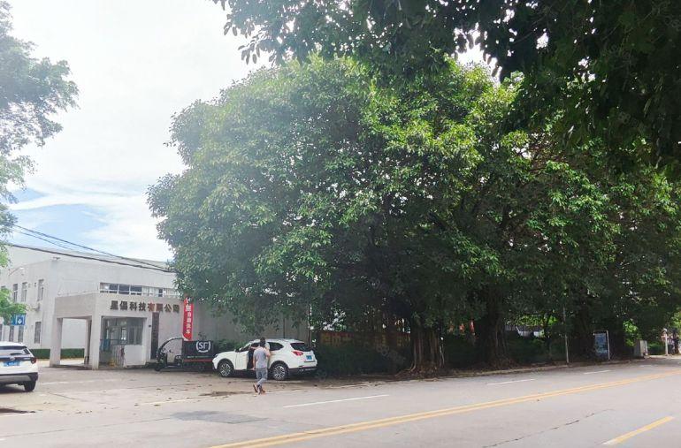 马安新乐1600平方9米高钢构厂房出租，可分租