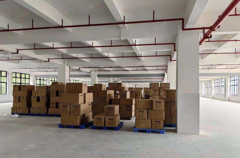 惠城水口7元起有牛角，1万平方独栋厂房，大小面积好分租