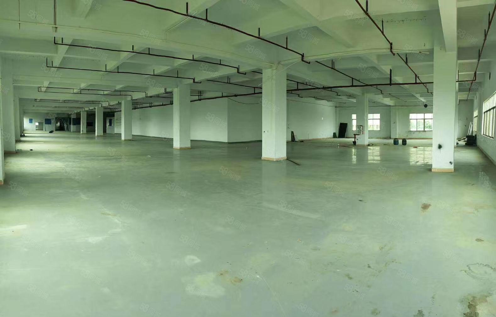 马安工业区全新标准厂房出租 750平方 交通方便