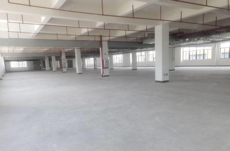 马安独门独院厂房出租