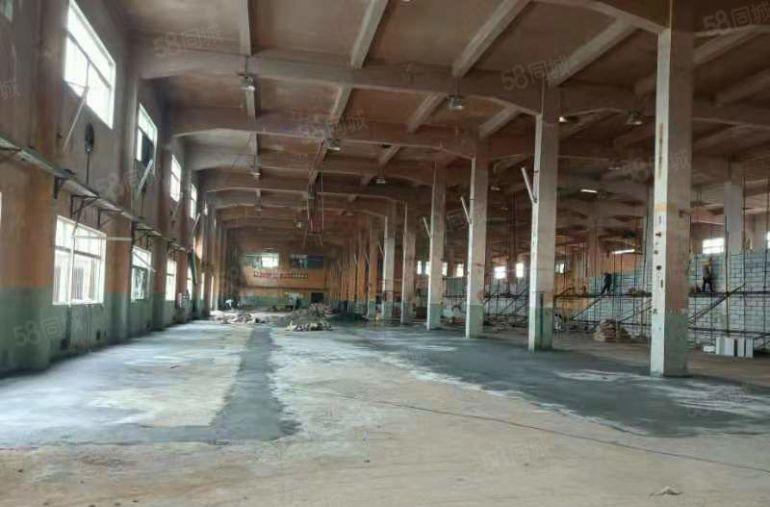 惠东全新原房东钢构厂房13500平方特价10元出租