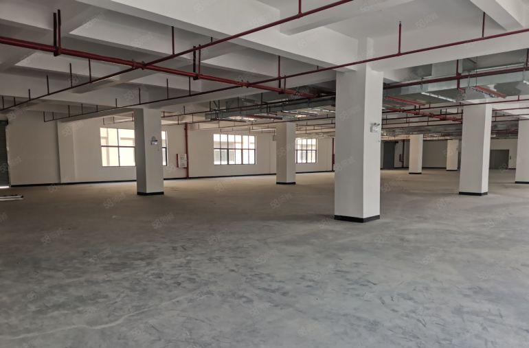 ！整栋！可分割（东江高新区标准厂房）2500平米一层，共5层