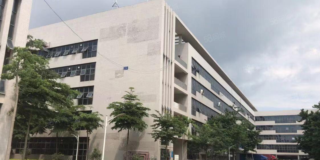 水口仲恺高新区新空出标准厂房一楼4000平花园式厂房可分租