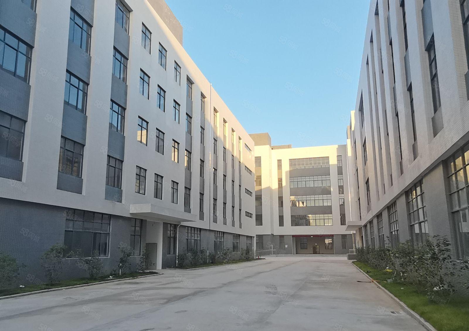 水口全新重工业10万平高新产业园厂房出租 1000平起租