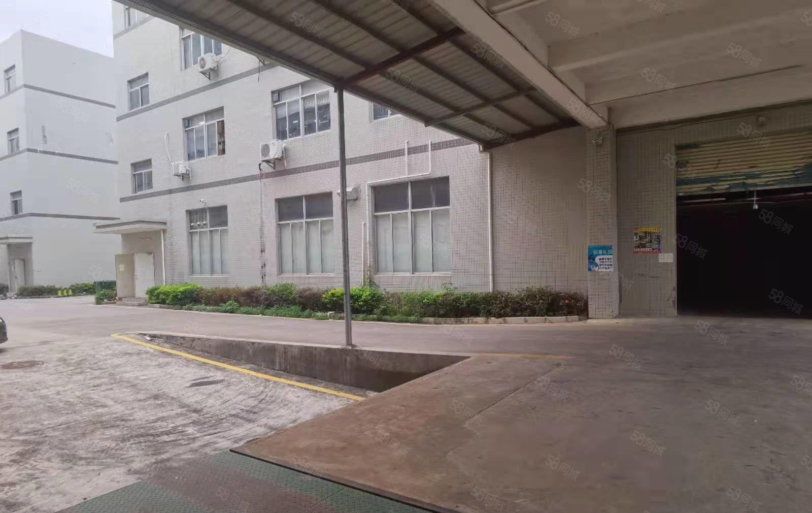 东江高新区现成地坪漆1300平米标准厂房招租，高5米