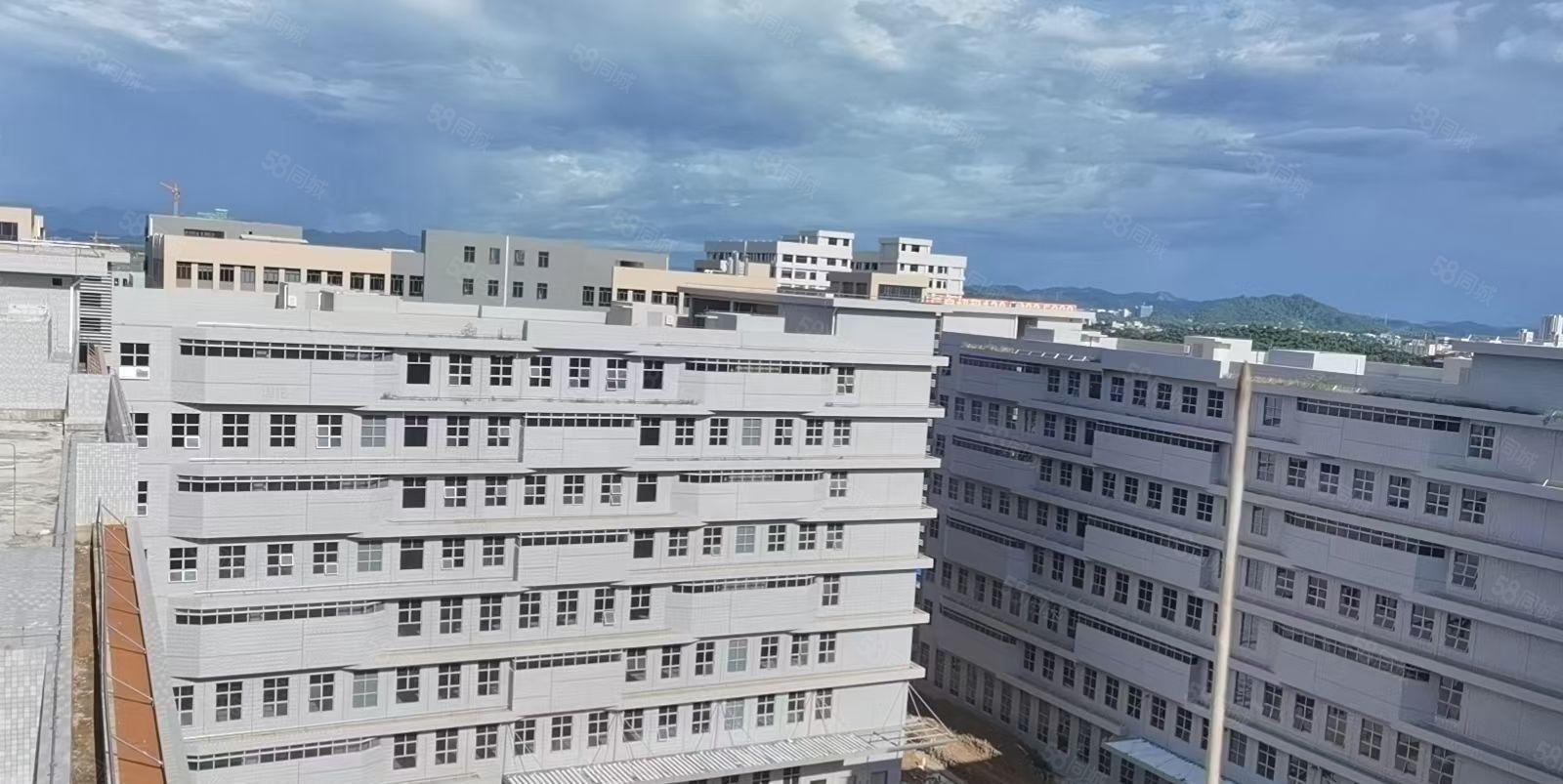 惠城水口东江湾千亿产业园原房东全新红本科技园 1400平起租