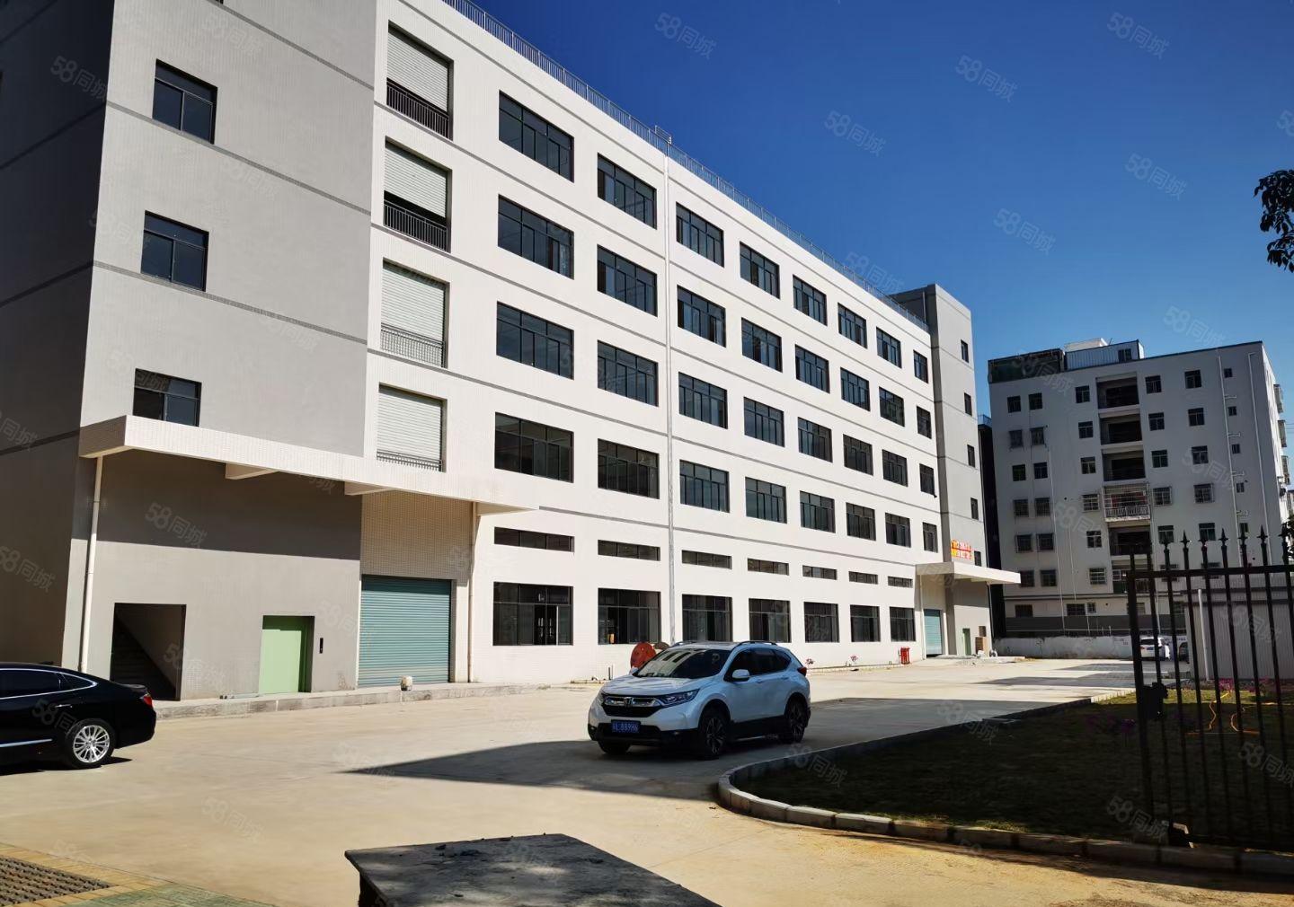 马安镇 全新一二楼单层2600平红本重工业厂房出租