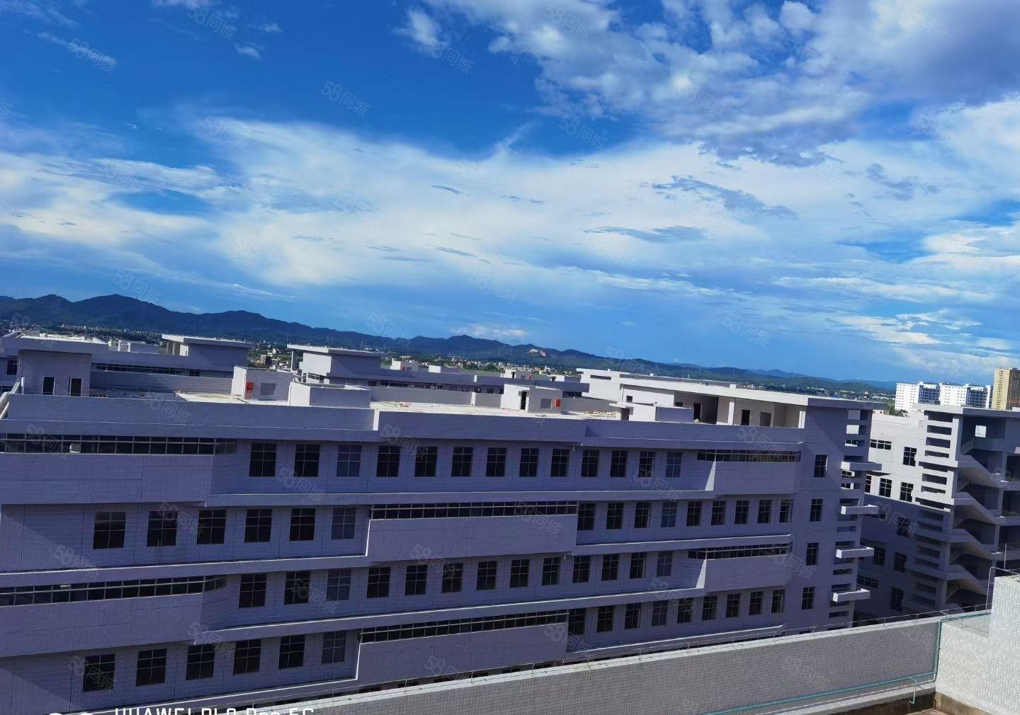 惠城水口东江湾千亿产业园原房东全新红本科技园 1400平起租