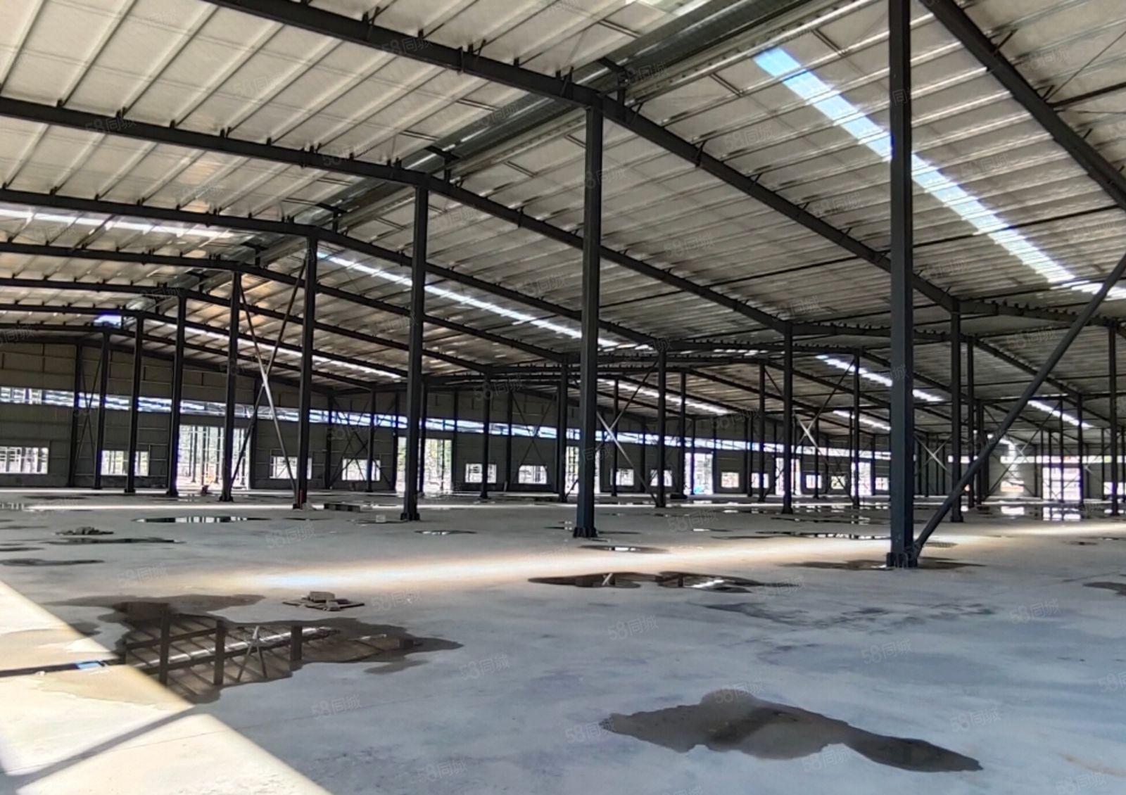 惠城水口价格便宜单一层钢结构34975平方出租1000起分