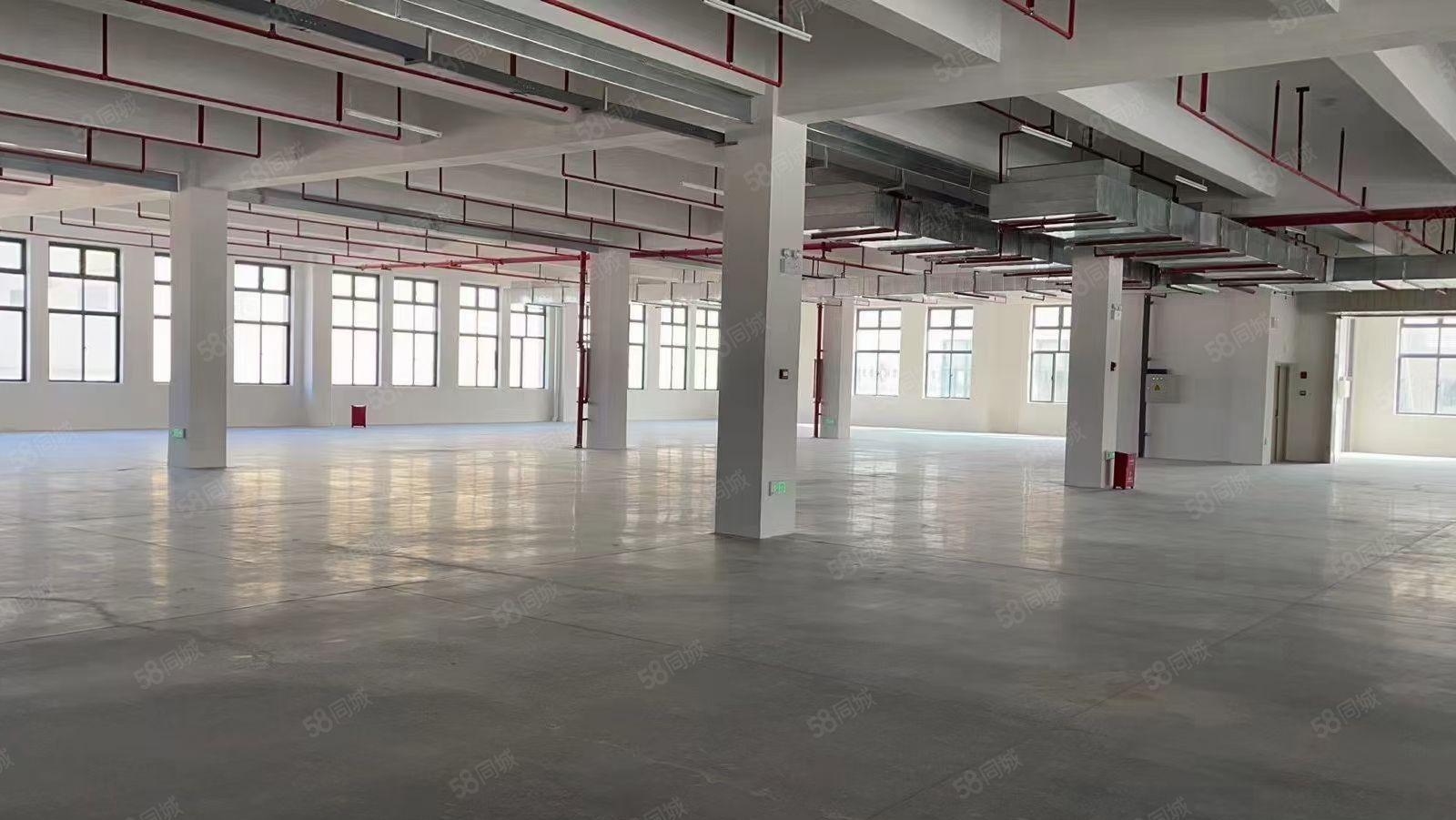 江北新建物流园我30000隆重招租，任意分租